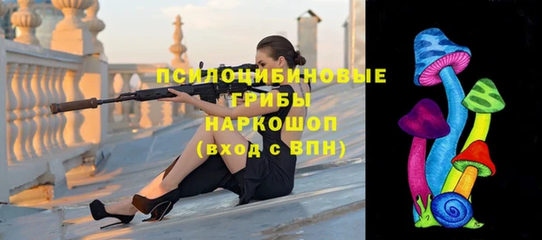 МДПВ Волоколамск
