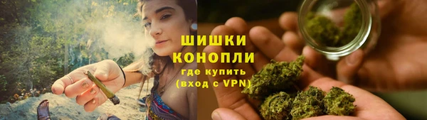 стаф Бородино