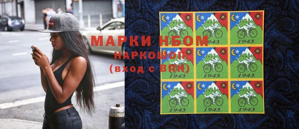 стаф Бородино