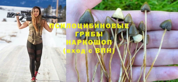 тгк Волосово