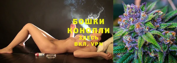 стаф Бородино