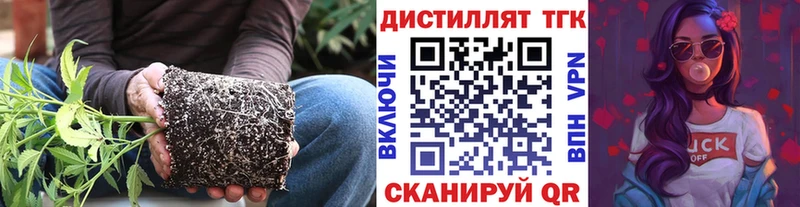 как найти закладки  Мариинский Посад  МЕГА зеркало  даркнет формула  ТГК THC oil 